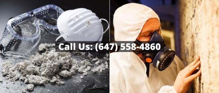 Asbestos Removal and Inspection in Burlington