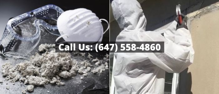 Asbestos Removal and Inspection in Newmarket