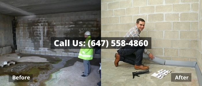 Basement Waterproofing, Foundation Repair, Mold Removal