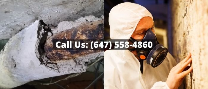 Asbestos Removal and Inspection in Ceiling