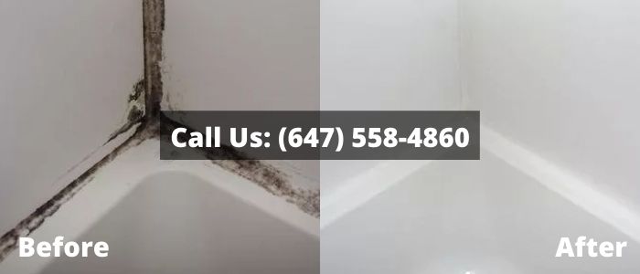 Mold Removal and Inspection in East Gwillimbury