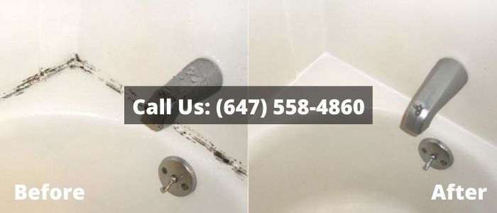 Mold Removal and Inspection in Guelph