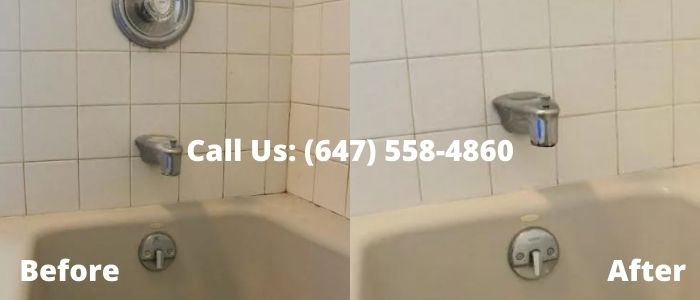 Mold Removal and Inspection in Newmarket