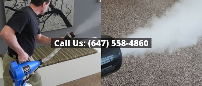 Musty Odour Removal in Toronto