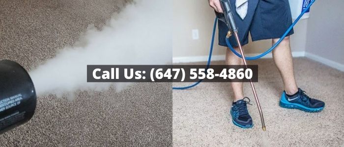 Pet Odour Removal in Toronto