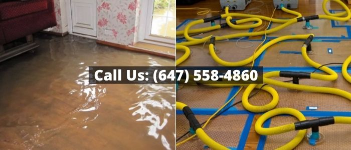 Water Damage Restoration in Guelph