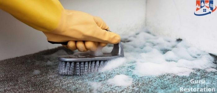 How to kill mold in carpet